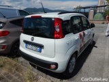  Fiat  Panda 2016 Benzina Panda 1.2 Lounge s&s 69cv my19 Manual Petrol  #40