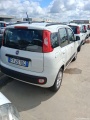  Fiat  Panda 2016 Benzina Panda 1.2 Lounge s&s 69cv my19 Manual Petrol  #64