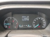  Ford  Transit V363 FWD 290 Transit 290 2.0 tdci MHEV 130cv trend L2H2 E6.2 Manual Hybrid  #10