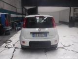  Fiat  Panda III 2021 Panda 1.0 firefly hybrid s&s 70cv Manual Hybrid  #41