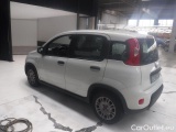  Fiat  Panda III 2021 Panda 1.0 firefly hybrid s&s 70cv Manual Hybrid  #42