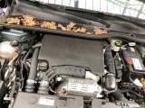 Citroen  C4 PURETECH 130 STOP&START EAT8  #13