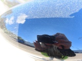  Ford  Kuga 2.5 DURATEC PHEV  70 #21
