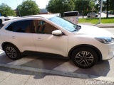  Ford  Kuga III 2020 Benzina Kuga 2.5 phev Titanium 2wd 225cv e-shifter Automatic PHEV Petrol  16 #19