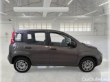  Fiat  Panda FIAT  / 2011 / 5P / BERLINA 1.2 69CV E6D-TEMP EASY #7