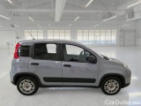  Fiat  Panda FIAT  / 2012 / 5P / BERLINA 1.0 70CV HYBRID EURO 6D VAN 4 P. STREET #7