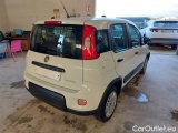  Fiat  Panda FIAT  / 2012 / 5P / BERLINA 1.0 70CV HYBRID EURO 6D VAN 4 P. STREET #2