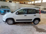  Fiat  Panda FIAT  / 2012 / 5P / BERLINA 1.0 70CV HYBRID EURO 6D VAN 4 P. STREET #8