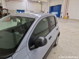  Fiat  Panda FIAT  / 2012 / 5P / BERLINA 1.0 70CV HYBRID EURO 6D VAN 4 P. STREET #84