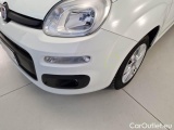  Fiat  Panda FIAT  / 2012 / 5P / BERLINA 1.3 MJT 80 CV VAN EURO6 SeS 4 POSTI EASY #44