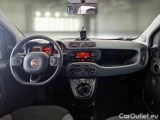  Fiat  Panda FIAT  / 2012 / 5P / BERLINA 1.3 MJT 80 CV VAN EURO6 SeS 4 POSTI EASY #3