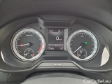  Skoda  Octavia  Combi  (5E5)(03.2017->) Octa.Com TDI 135 Style 4x4 AT #19
