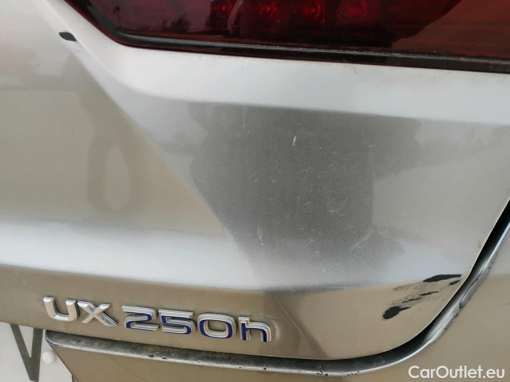  Lexus  UX LEXUS  / 2018 / 5P / todoterreno 2.0 250h Business Navigation (CX) #6