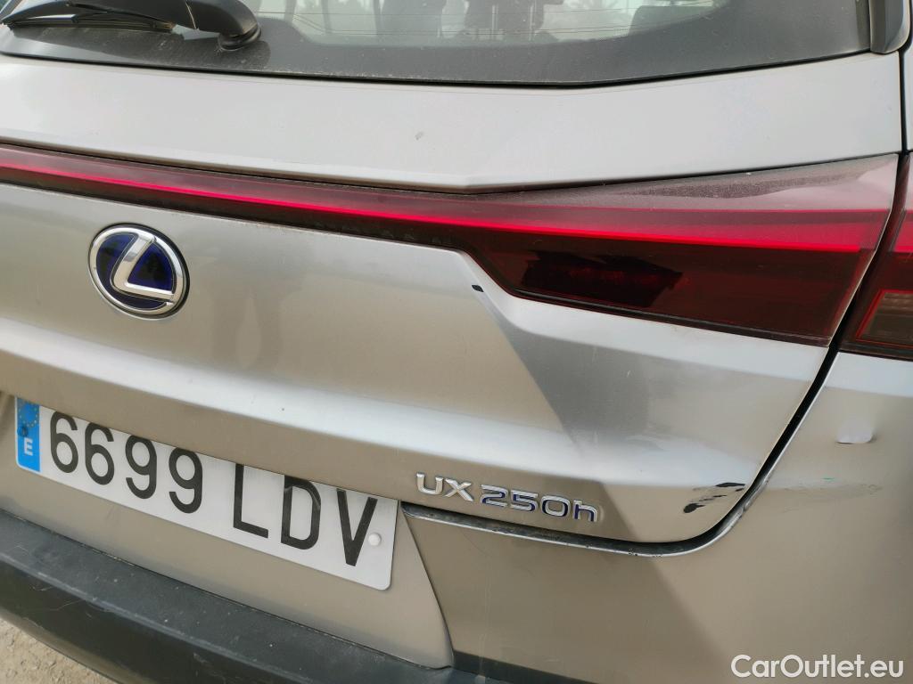  Lexus  UX LEXUS  / 2018 / 5P / todoterreno 2.0 250h Business Navigation (CX) #5