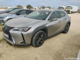  Lexus  UX LEXUS  / 2018 / 5P / todoterreno 2.0 250h Business Navigation (CX) 
