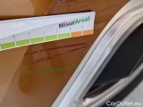  Renault  Captur RENAULT  / 2017 / 5P / CROSSOVER 1.5 DCI 90CV BUSINESS #38