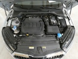  Skoda  Octavia  Combi First Edition 2.0 TDI 110KW AT7 E6dT #18