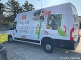  Fiat  Ducato 295 (251) Maxi 35 Ducato Maxi 35 XLH3 2.3 mjt 130cv E6 Manual Diesel  31 #53