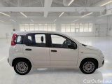  Fiat  Panda FIAT  / 2011 / 5P / BERLINA 1.0 70CV SeS HYBRID #7