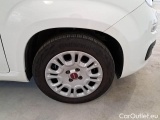  Fiat  Panda FIAT  / 2011 / 5P / BERLINA 1.0 70CV SeS HYBRID #17