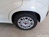  Fiat  Panda FIAT  / 2011 / 5P / BERLINA 1.0 70CV SeS HYBRID #19