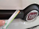  Fiat  Panda FIAT  / 2011 / 5P / BERLINA 1.0 70CV SeS HYBRID #30