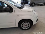  Fiat  Panda FIAT  / 2011 / 5P / BERLINA 1.0 70CV SeS HYBRID #49