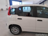  Fiat  Panda FIAT  / 2011 / 5P / BERLINA 1.0 70CV SeS HYBRID #54