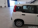  Fiat  Panda FIAT  / 2011 / 5P / BERLINA 1.0 70CV SeS HYBRID #56