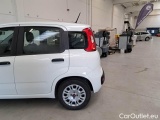  Fiat  Panda FIAT  / 2011 / 5P / BERLINA 1.0 70CV SeS HYBRID #66