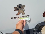  Peugeot  Partner PEUGEOT  / 2018 / 4P / VETT. FURGONATA L2 BLUEHDI 100CV PREMIUM #66