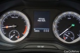  Skoda  Karoq  Ambition 4x4 2.0 TDI 110KW AT7 E6dT #24