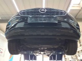  Opel  Insignia SPORTS Tourer 2.0 Direct InjectionTurbo Elegance Automatic Petrol  32 #25