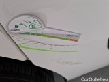  Fiat  Doblo FIAT DOBLÒ CARGO / 2014 / 4P / VETT. FURGONATA CH1 LOUNGE 1.6 MJET 105CV E6D SeS #45