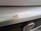  Fiat  Ducato FIAT  2014 FURGONE 35 MH1 2.0 MULTIJET 16V 115CV #32
