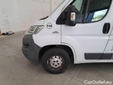  Fiat  Ducato FIAT  2014 FURGONE 35 MH1 2.0 MULTIJET 16V 115CV #109
