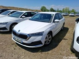  Skoda  Octavia  Lim. Business 2.0 TDI 115CV BVM6 E6d 