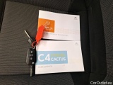  Citroen  C4 Cactus  Feel Business 1.2 PureTech 110CV BVM6 E6dT #12