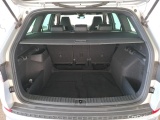  Skoda  Kodiaq  Sportline 2.0 TDI 150CV E6d #10