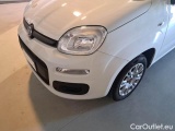 Fiat  Panda FIAT  / 2011 / 5P / BERLINA 1.2 69CV E6D-TEMP EASY #29