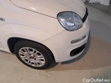  Fiat  Panda FIAT  / 2011 / 5P / BERLINA 1.2 69CV E6D-TEMP EASY #34