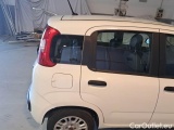  Fiat  Panda FIAT  / 2011 / 5P / BERLINA 1.2 69CV E6D-TEMP EASY #48