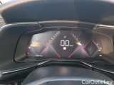  DS  DS7 2.0 BLUEHDI 180 PERFORMANCE LINE + AUTO #7