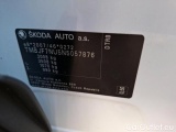  Skoda  Karoq 2.0 TDI 116 DSG7 STYLE #8