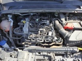  Ford  Puma II 2020 Benzina Puma 1.0 ecoboost h Titanium s&s 125cv Manual Hybrid  64 #59
