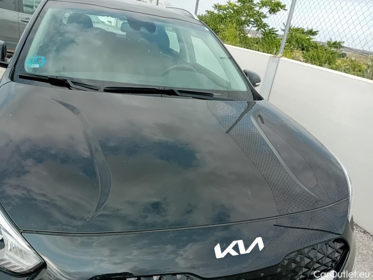  KIA  Niro KIA  / 2019 / 5P / crossover 1.6 GDi HEV 104kW (141CV) Drive #15