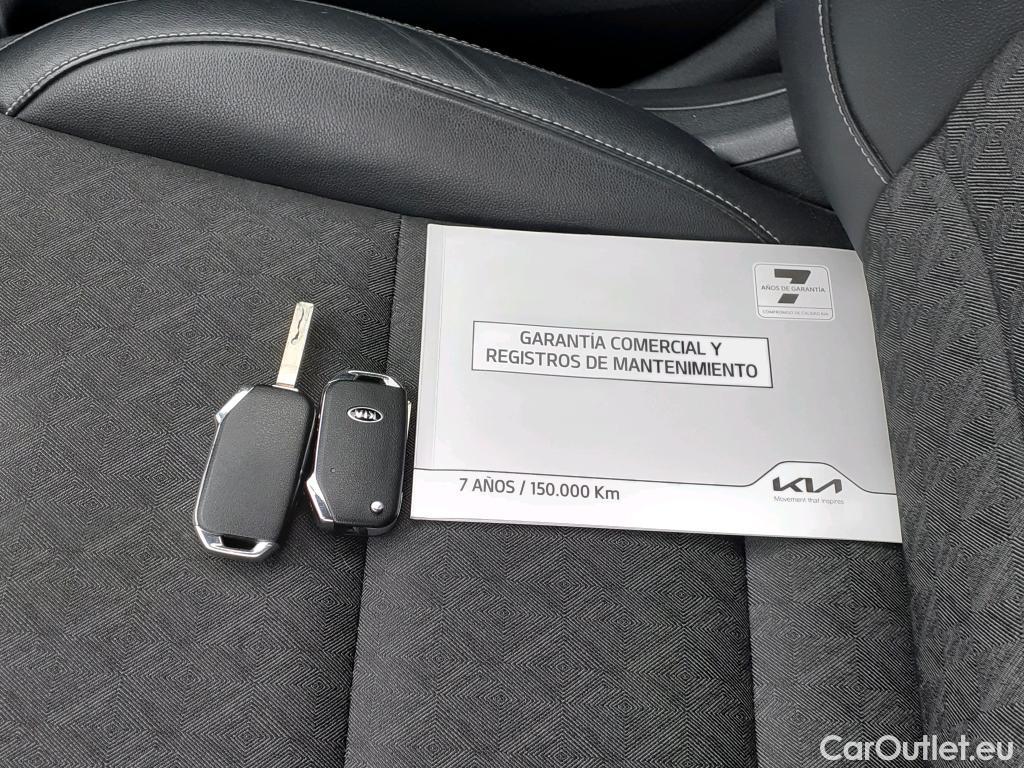  KIA  Niro  Drive 1.6 105CV AT6 E6d #19