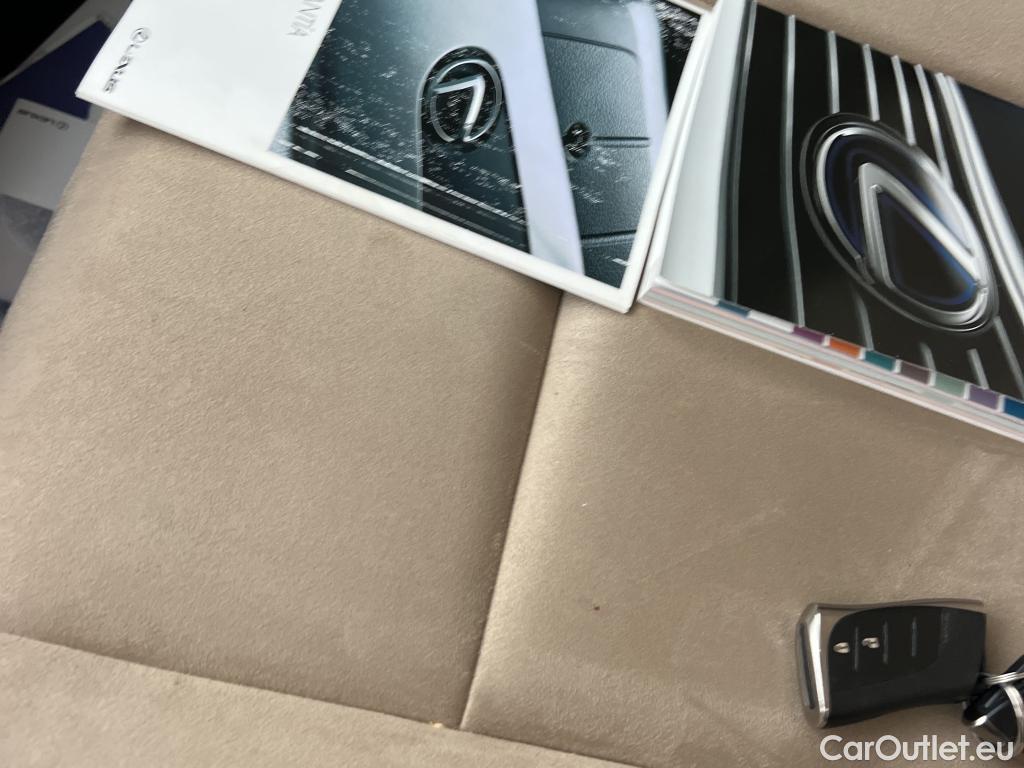  Lexus  UX LEXUS  / 2018 / 5P / todoterreno 2.0 250h Business Navigation #11
