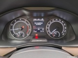  Skoda  KAMIQ Skoda,  '19, Skoda  1.0 TGI 66kW Style 5d #17