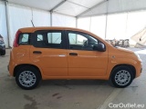  Fiat  Panda FIAT  / 2011 / 5P / BERLINA 1.2 69CV E6D-TEMP EASY #7